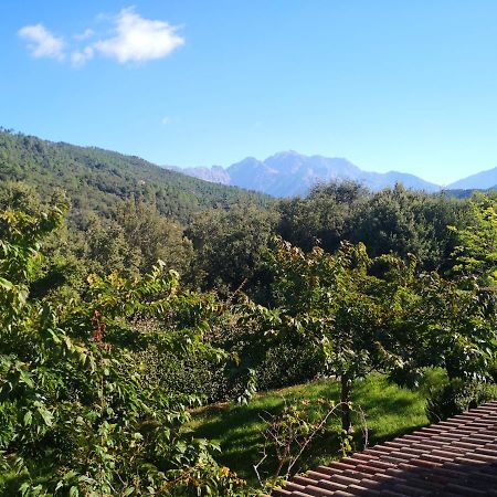 L'Ogliastru Bed & Breakfast Ucciani Exterior photo
